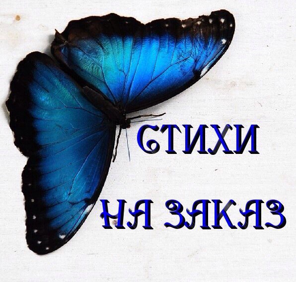 Пишу ,стихи и песни на заказ 