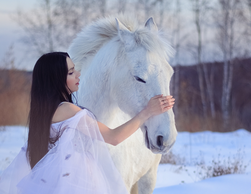 Пегас фотосессия зимняя. Дубровский фотограф.