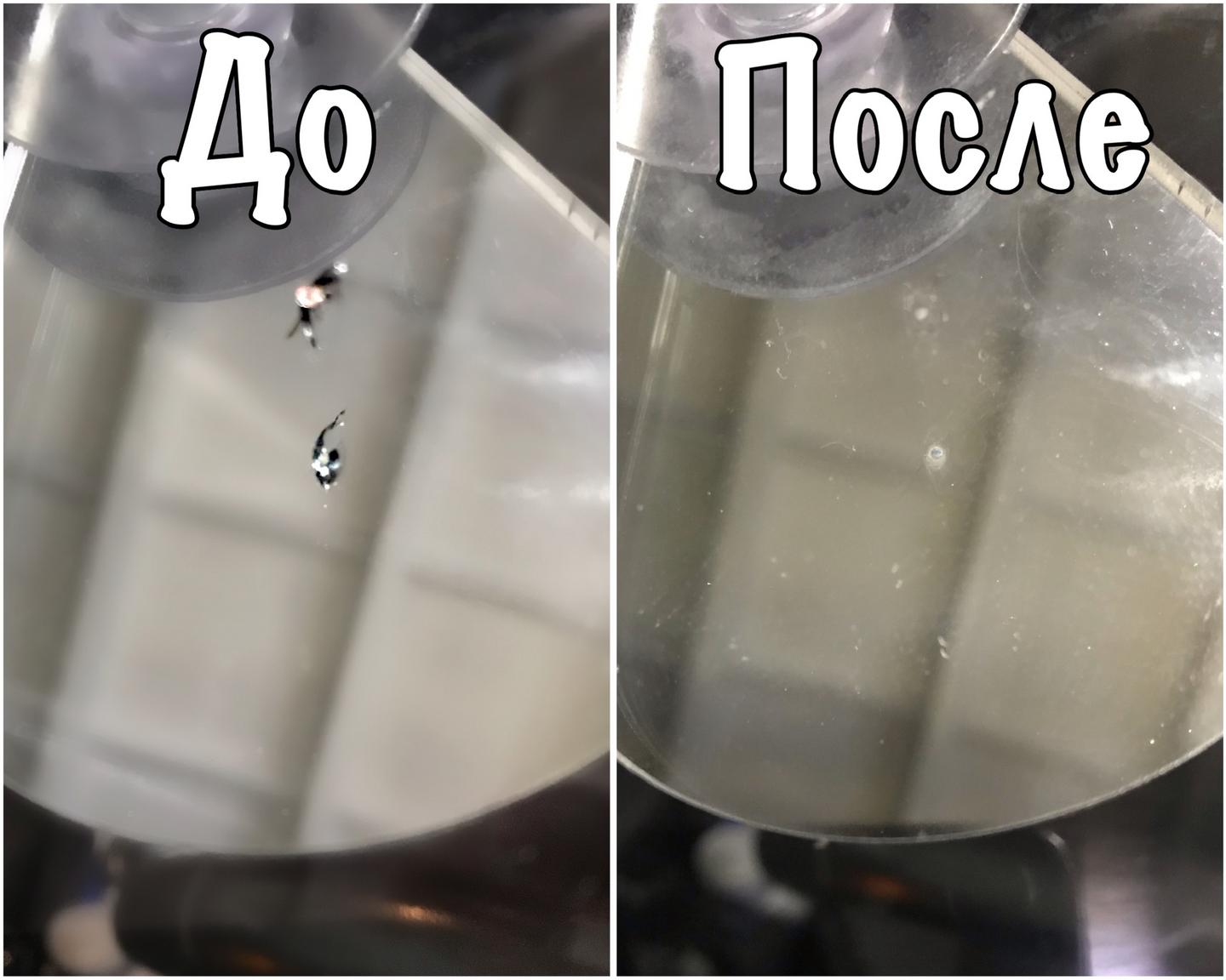 Ремонт сколов и трещин на лобовом стекле 