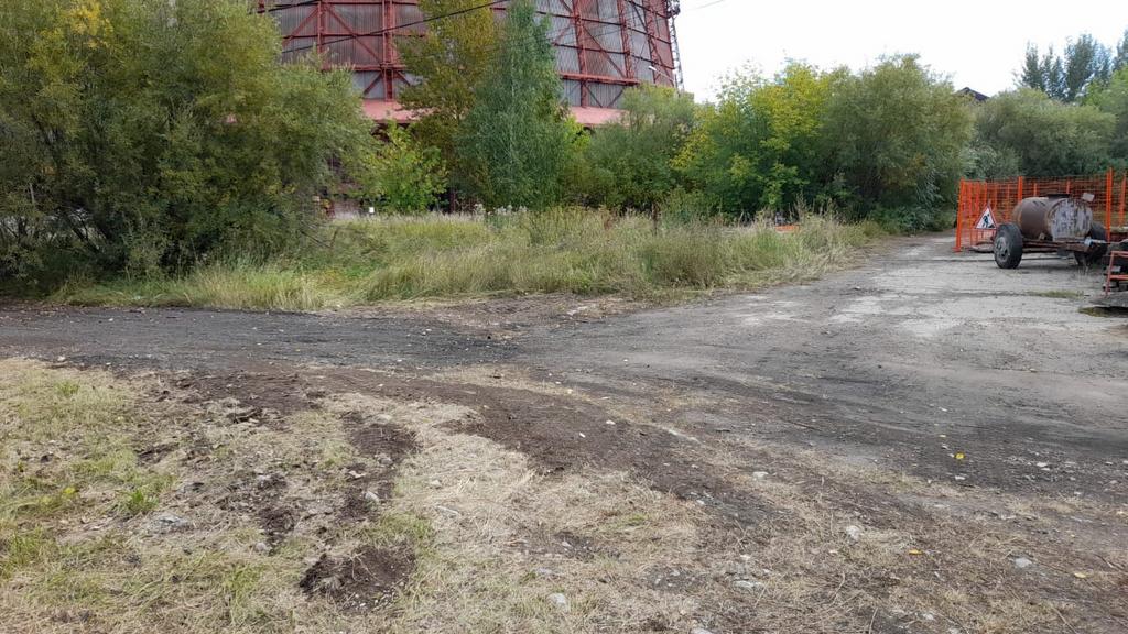Скос, уборка, вывоз травы. Выкорчевывание кустов. 